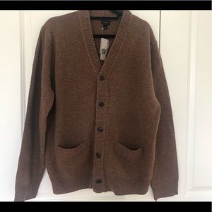 NWT J Crew  lambswool V- neck Cardigan